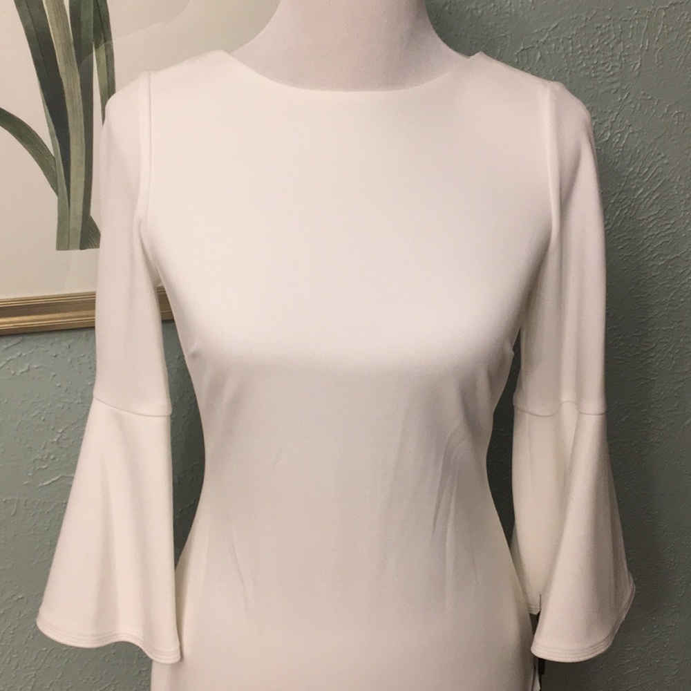 💐 NWT Gorgeous Calvin Klein Dress, size 2 💐 - Picture 3 of 6